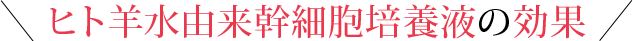 ヒト⽺⽔由来幹細胞培養液の効果